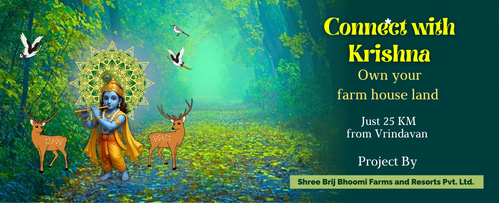 Connect to Krishna
