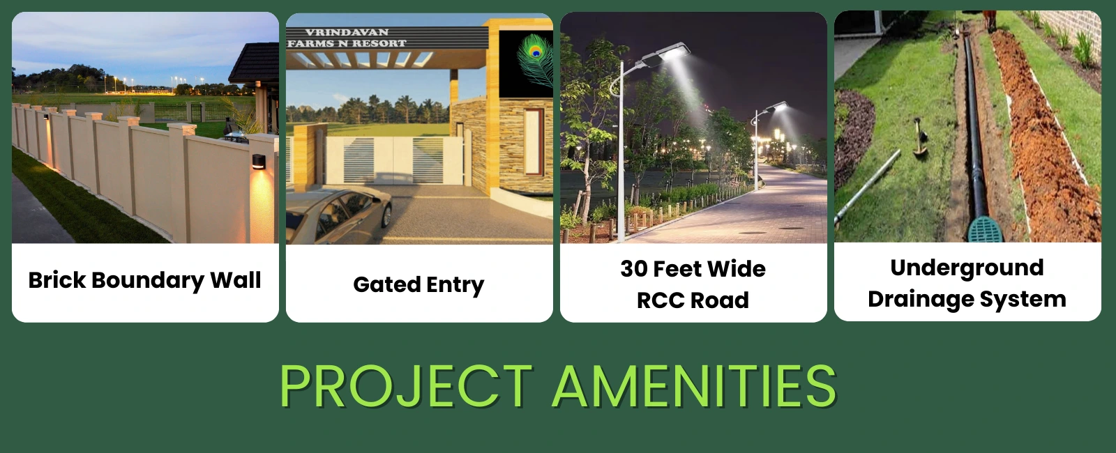 Project Aminites
